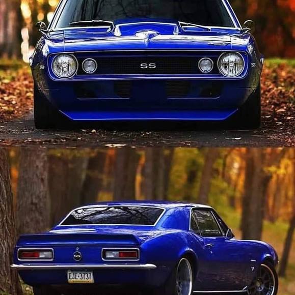 Meet your Posher, Scott - Picture 1 of 1